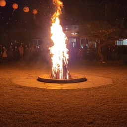 피드에 업로드 된 이미지