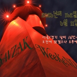 피드에 업로드 된 이미지