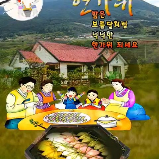 피드 이미지