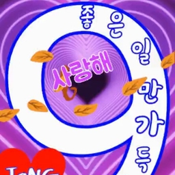피드에 업로드 된 이미지