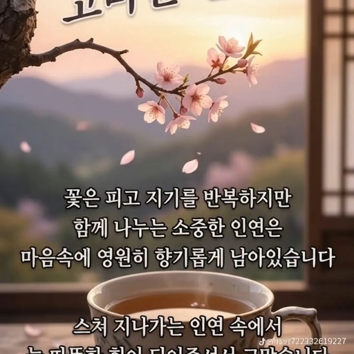 피드 이미지