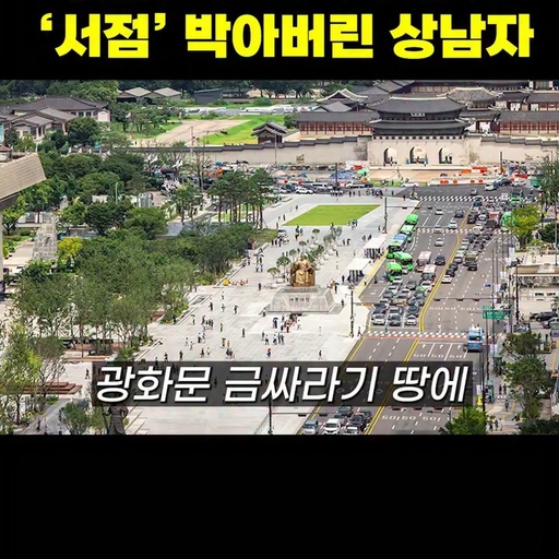 피드 이미지