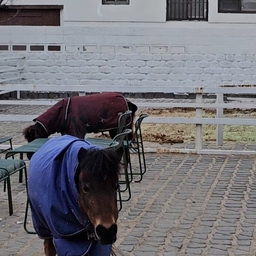 피드에 업로드 된 이미지