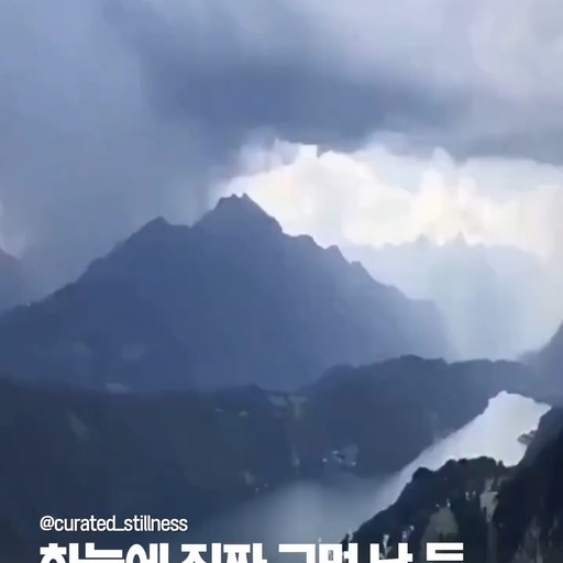 피드 이미지
