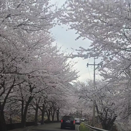 피드에 업로드 된 이미지