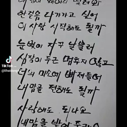 피드에 업로드 된 이미지