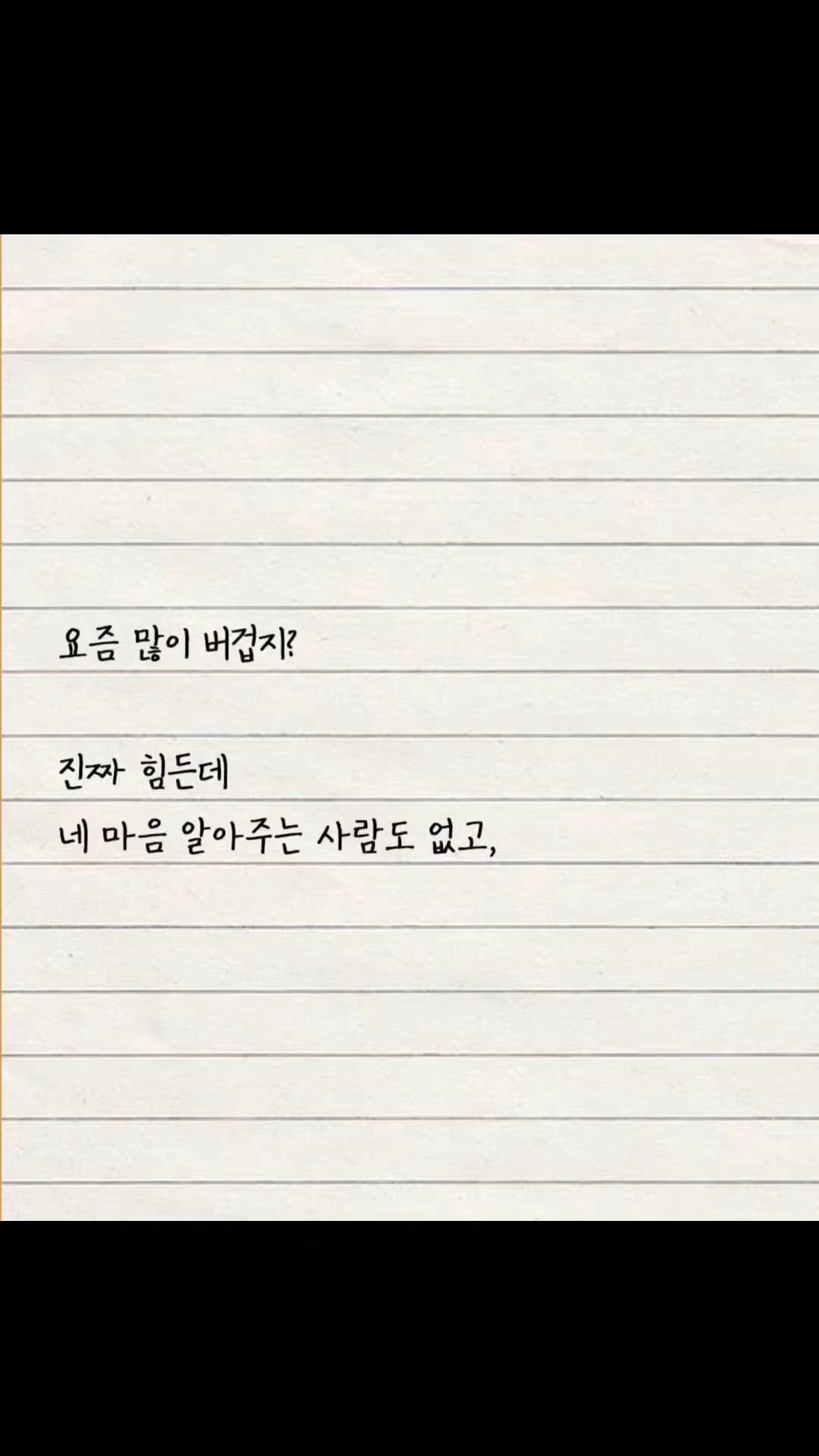 피드 이미지