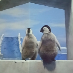 피드에 업로드 된 이미지