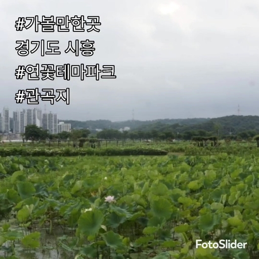 피드 이미지