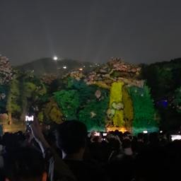 피드에 업로드 된 이미지