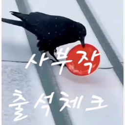 피드에 업로드 된 이미지