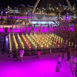 피드에 업로드 된 이미지