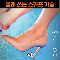 피드에 업로드 된 이미지