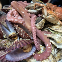 피드에 업로드 된 이미지