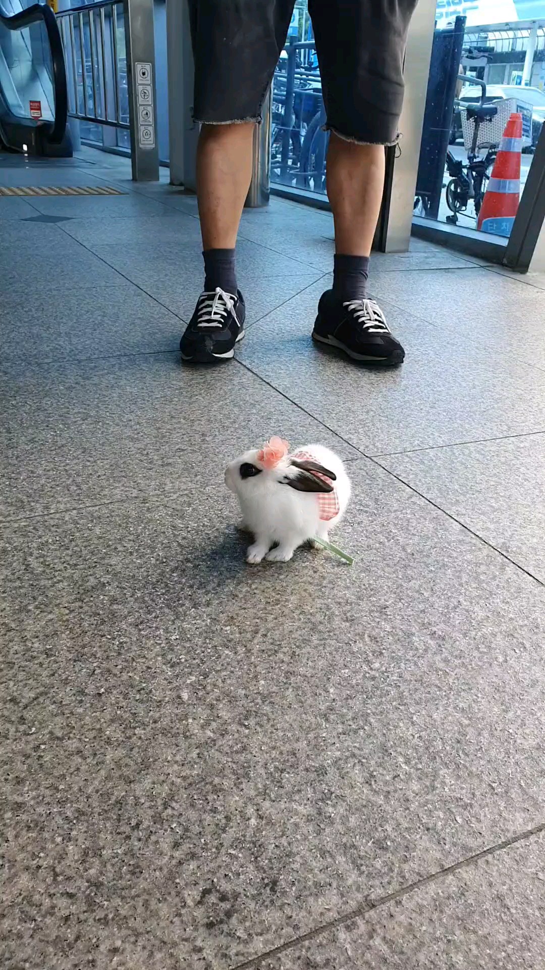 피드 이미지