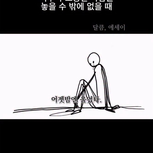 피드 이미지