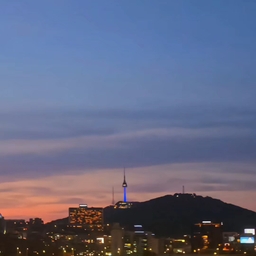 피드에 업로드 된 이미지