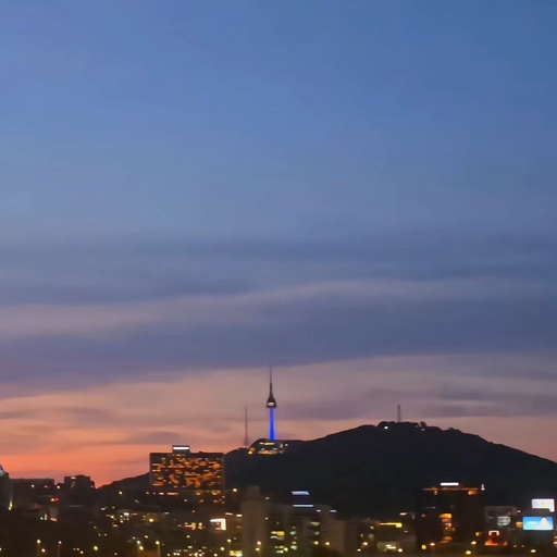 피드 이미지
