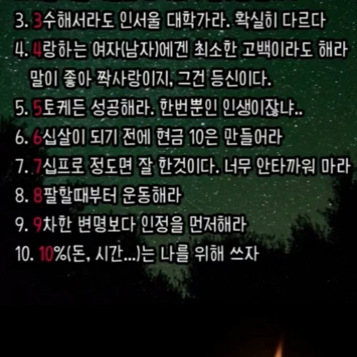 피드 이미지