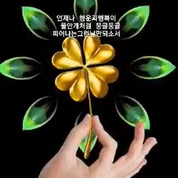 피드에 업로드 된 이미지