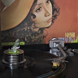 피드에 업로드 된 이미지