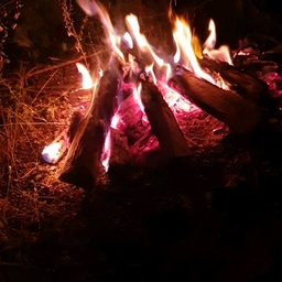 피드에 업로드 된 이미지