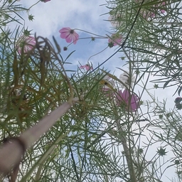 피드에 업로드 된 이미지