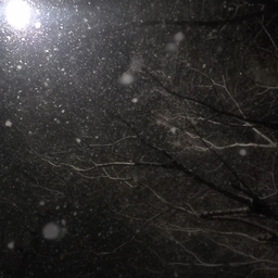 피드에 업로드 된 이미지