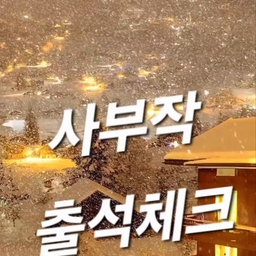 피드에 업로드 된 이미지