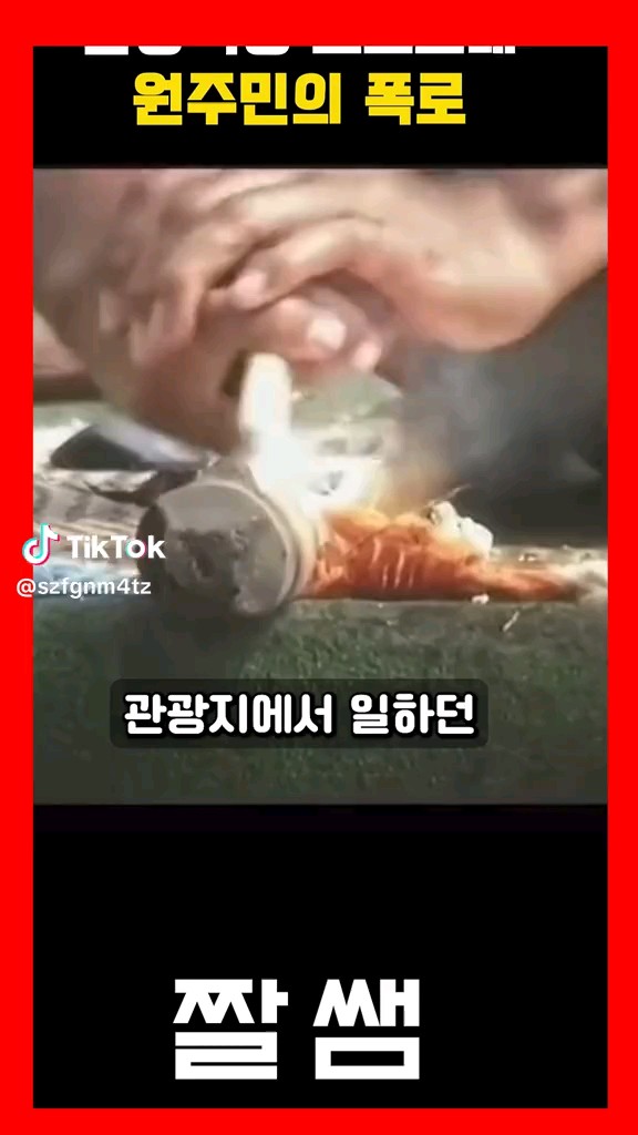 피드 이미지