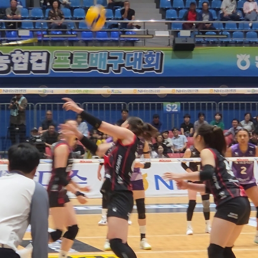 피드 이미지