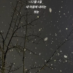 피드에 업로드 된 이미지