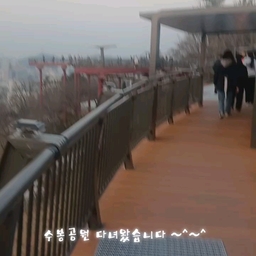 피드에 업로드 된 이미지