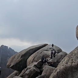 피드에 업로드 된 이미지