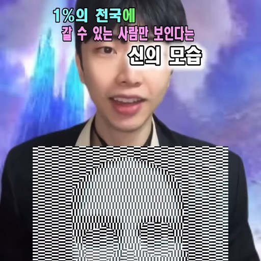 피드 이미지