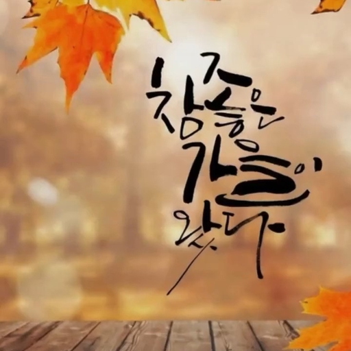피드 이미지