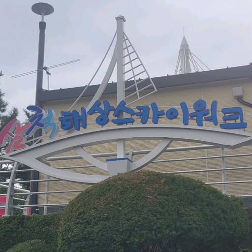 피드 이미지