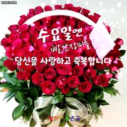 피드에 업로드 된 이미지