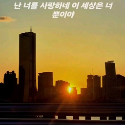 피드에 업로드 된 이미지