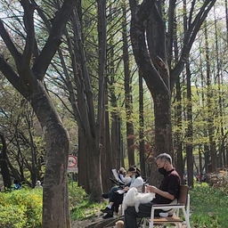 피드에 업로드 된 이미지