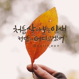 피드에 업로드 된 이미지