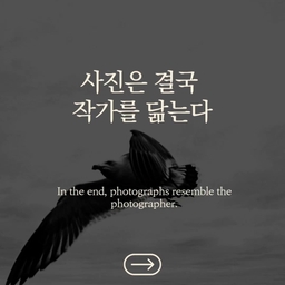 피드에 업로드 된 이미지