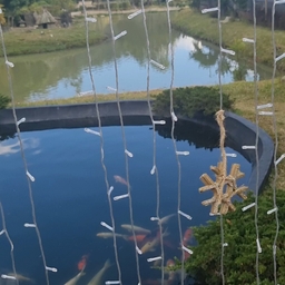 피드에 업로드 된 이미지