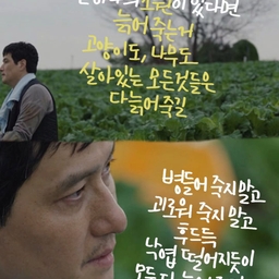 피드에 업로드 된 이미지