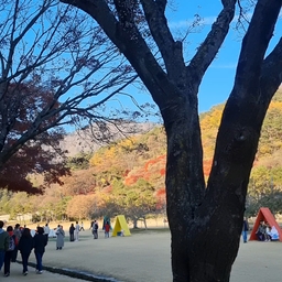 피드에 업로드 된 이미지