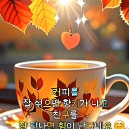 피드에 업로드 된 이미지