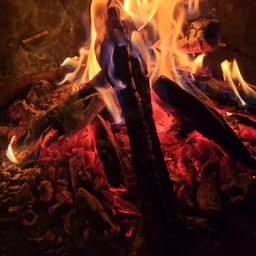 피드에 업로드 된 이미지