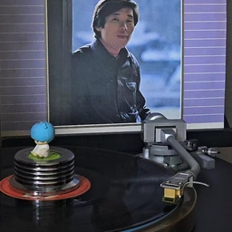 피드에 업로드 된 이미지