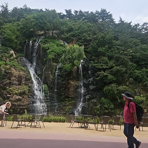 피드 이미지