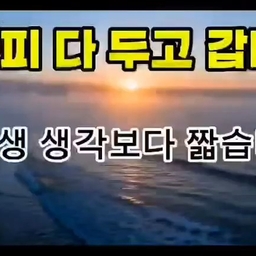 피드에 업로드 된 이미지